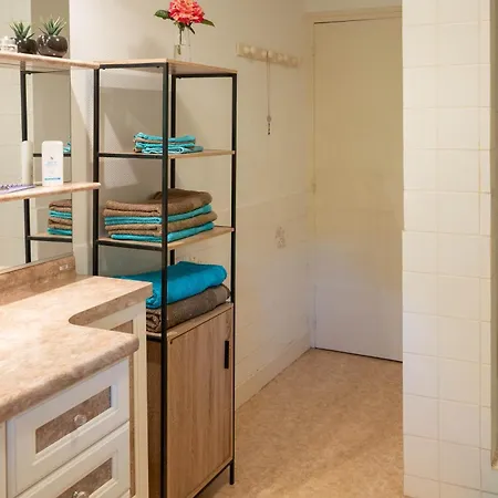 Ancien Moulin Avec Jacuzzi Thonac