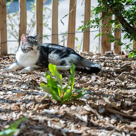 Сasa de vacaciones Ancien Moulin Avec Jacuzzi *