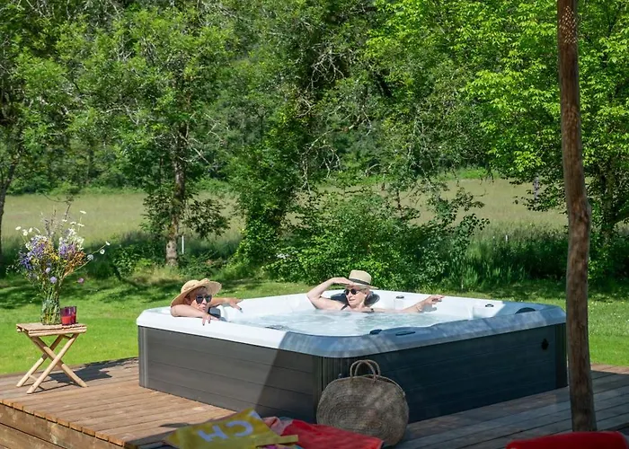 Ancien Moulin Avec Jacuzzi *